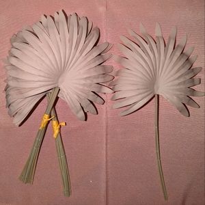 Palm Leave stems (10)